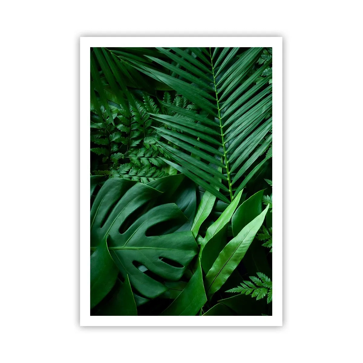 Plakat - Utulone w zieleni - 70x100 cm
