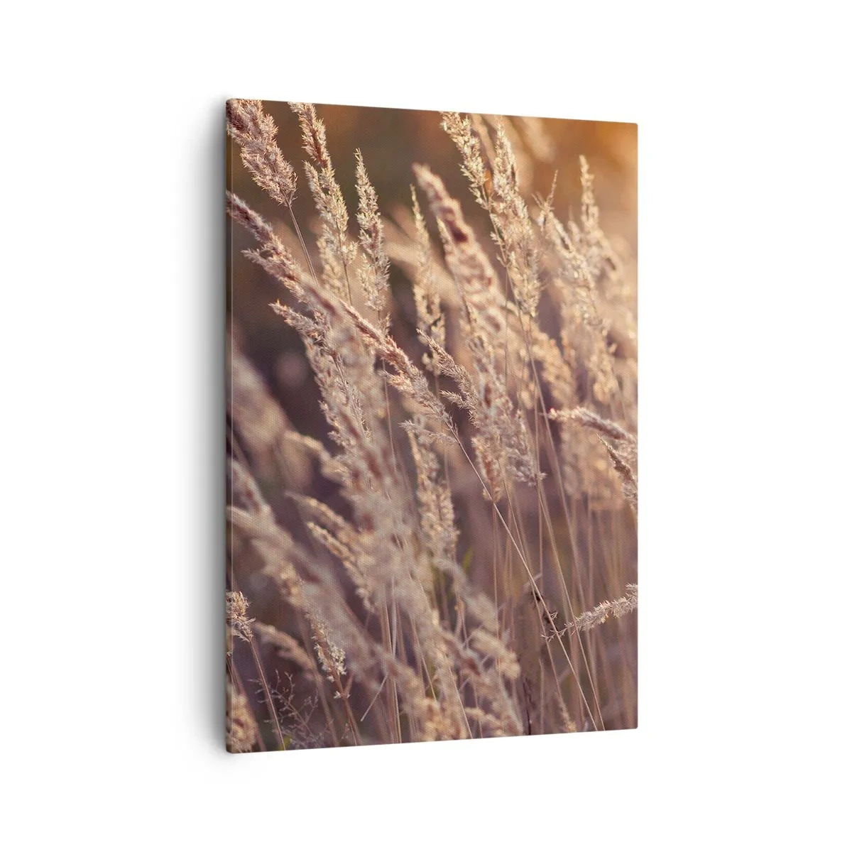 Obraz na płótnie - Złote trawy kołyszące się na wietrze w ciepłym świetle zachodu - 50x70cm - Gotowe na powitanie jesieni - Nowoczesna dekoracja ścienna do salonu, kuchni i sypialni ARTTOR