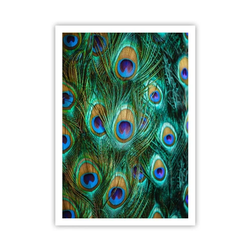 Plakat - Pawiookie spojrzenie - 70x100 cm