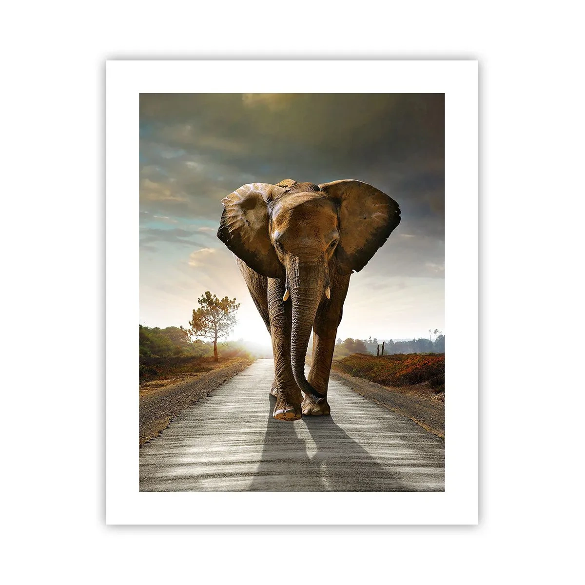 Plakat - I wcale nie w składzie porcelany - 40x50 cm