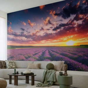 Fototapeta Premium Sand - Lawendowe pole o zachodzie słońca - 100x70cm - Lawendowy świat - Nowoczesna dekoracja ścienna do salonu, kuchni i sypialni ARTTOR