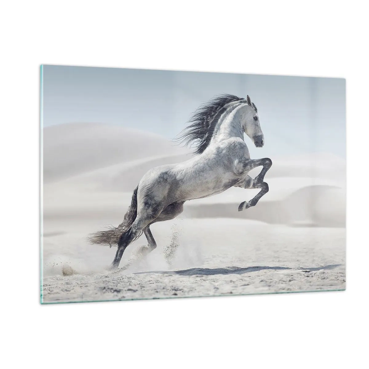 Obraz na szkle - Biały koń skaczący na tle pustynnych wydm - 120x80cm - Arabski książę - Nowoczesna dekoracja ścienna do salonu, kuchni i sypialni ARTTOR