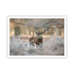 Plakat - Jeleń na mroźnej polanie w zimowym lesie o subtelnych barwach - 100x70cm - Rześki poranek - Nowoczesna dekoracja ścienna do salonu i sypialni ARTTOR