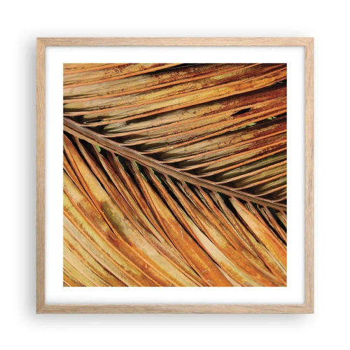 Plakat w ramie jasny dąb - Kokosowe złoto - 50x50 cm