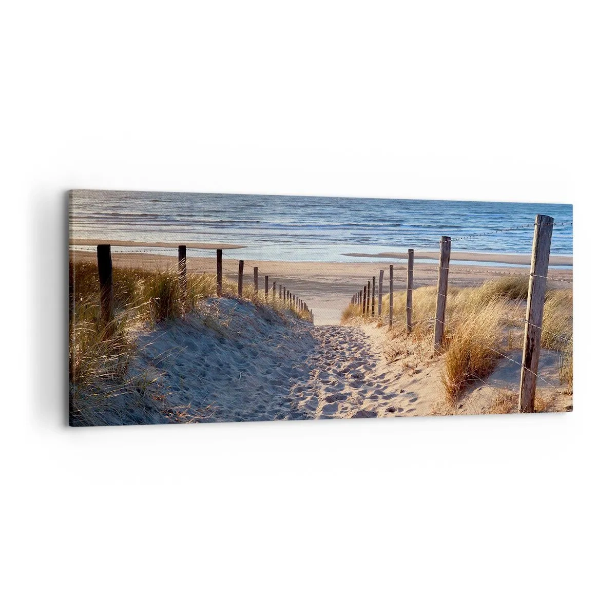Obraz na płótnie - Ścieżka przez wydmy prowadząca na plażę - 120x50cm - Morza szum, ptaków śpiew, dzika plaża pośród traw… - Nowoczesna dekoracja ścienna do salonu i sypialni ARTTOR