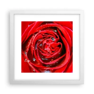 Plakat w białej ramie - W kroplach rosy - 30x30 cm