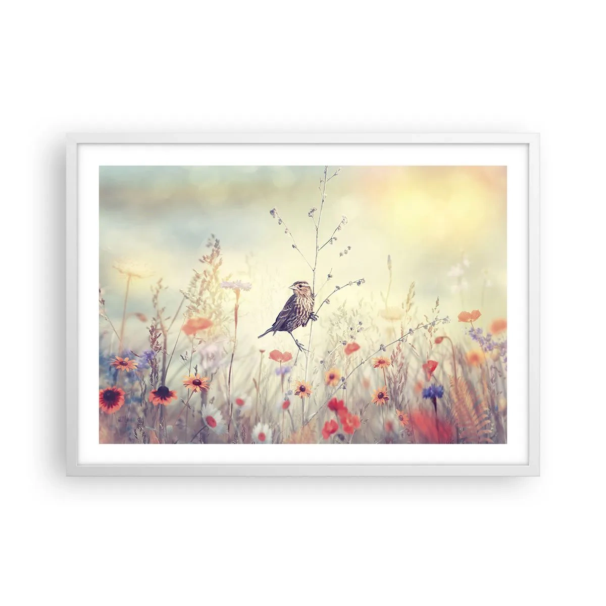 Plakat w białej ramie - Ptasi portret z łąką w tle - 70x50 cm