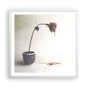 Plakat w białej ramie - Rosa dolorosa - 60x60 cm