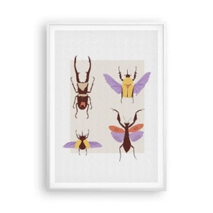 Plakat w białej ramie - Owadzi świat - 70x100 cm