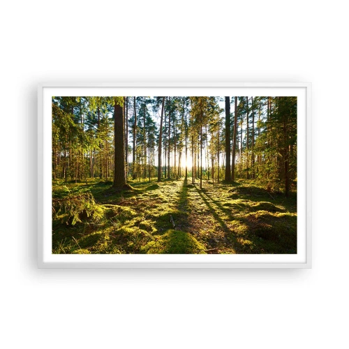 Plakat w białej ramie - …Za siedmioma lasami - 91x61 cm