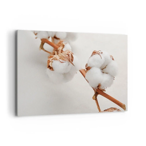 Obraz na płótnie - Gałązka bawełny na subtelnym tle - 100x70cm - Tylko tulić - Nowoczesna dekoracja ścienna do salonu, kuchni i sypialni ARTTOR
