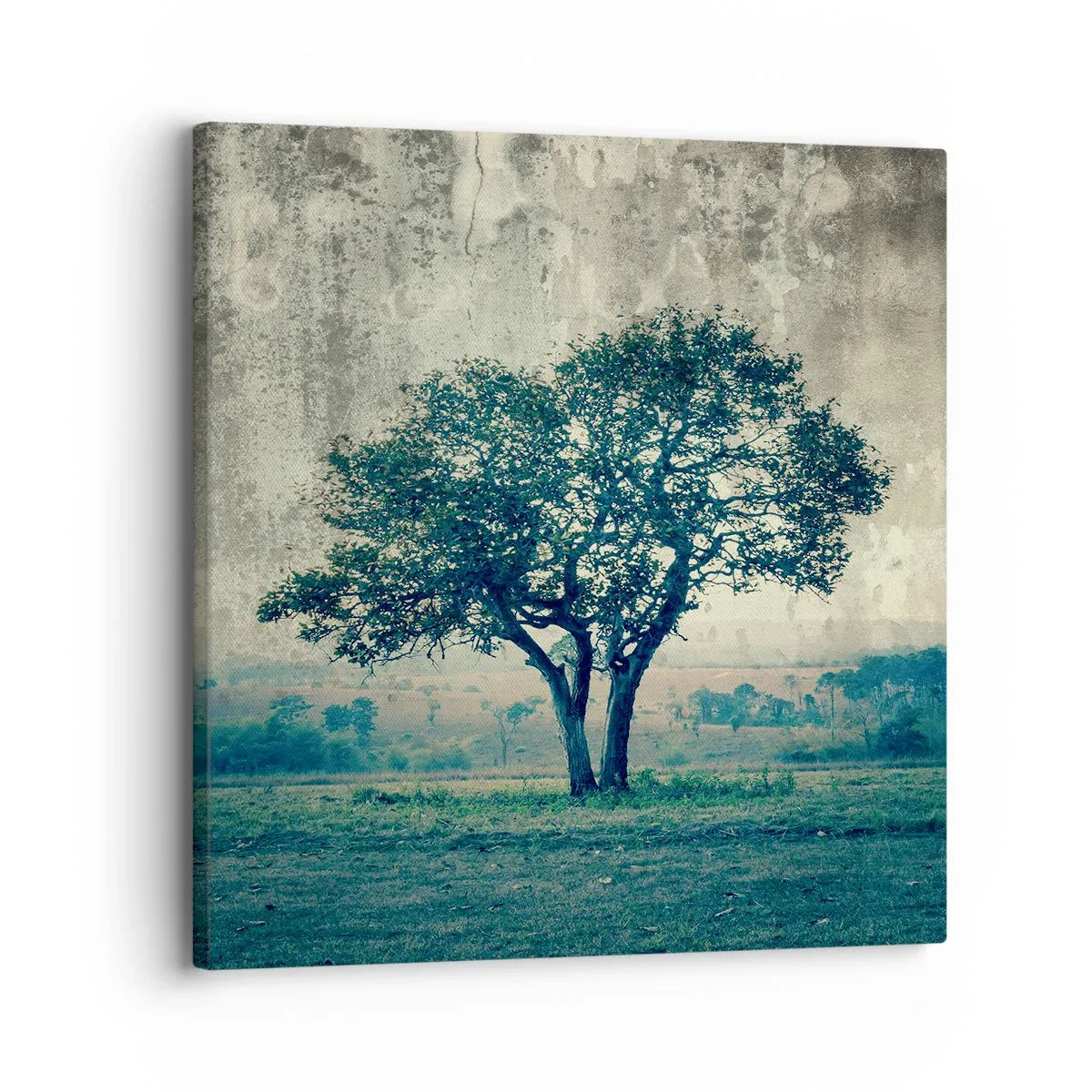 Obraz na płótnie - Jabłoń na błękitnym błoniu? - 30x30 cm