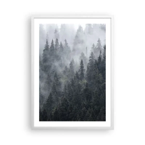 Plakat w białej ramie - Leśny świt - 50x70 cm