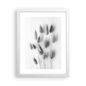 Plakat w białej ramie - Jej puszystość trawa - 30x40 cm