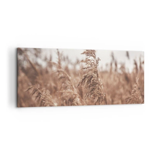 Obraz na płótnie - Na polach już jesień - 100x40 cm
