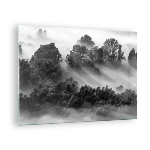Obraz na szkle - Mglisty las w promieniach słońca w czerni i bieli - 70x50cm - Wstający ze snu - Nowoczesna dekoracja ścienna do salonu i sypialni ARTTOR