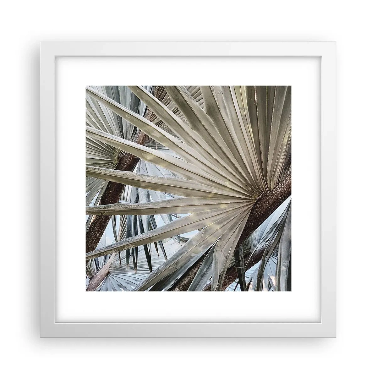 Plakat w białej ramie - Wachlarze w tropikach - 30x30 cm