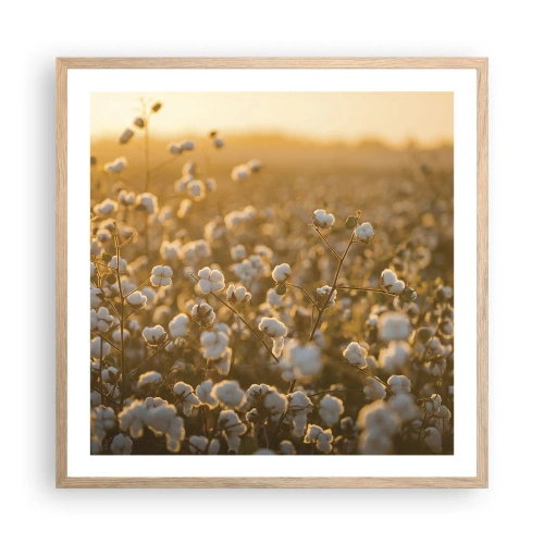 Plakat w ramie jasny dąb - Puszyste pole - 60x60 cm