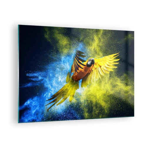 Obraz na szkle - Kolorowa papuga w locie na tle żółto-niebieskim - 70x50cm - W błękitno-złotym pyle - Nowoczesna dekoracja ścienna do salonu i sypialni ARTTOR