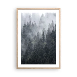 Plakat w ramie jasny dąb - Leśny świt - 50x70 cm