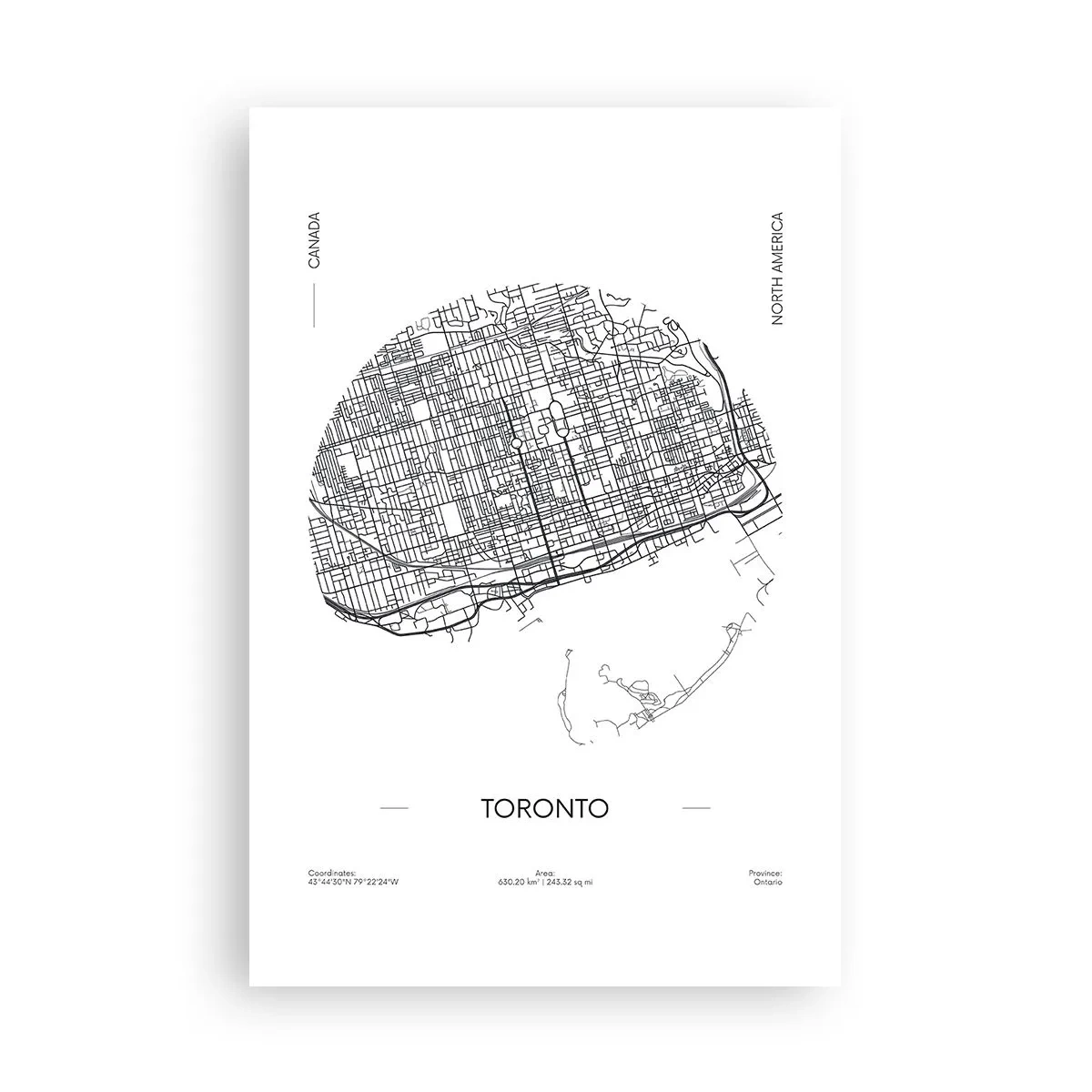Plakat - Anatomia Toronto - 61x91 cm