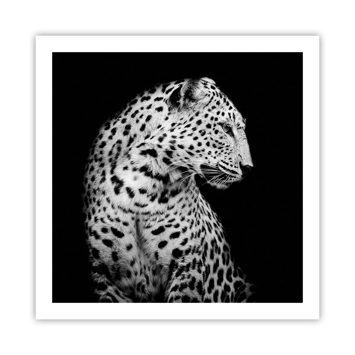 Plakat - Prawy profil doskonały! - 60x60 cm