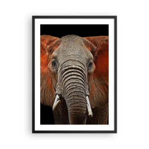 Plakat w czarnej ramie - Portret majestatycznego słonia na czarnym tle - 50x70cm - Jestem dziki, a ty? - Nowoczesna dekoracja ścienna do salonu i sypialni ARTTOR