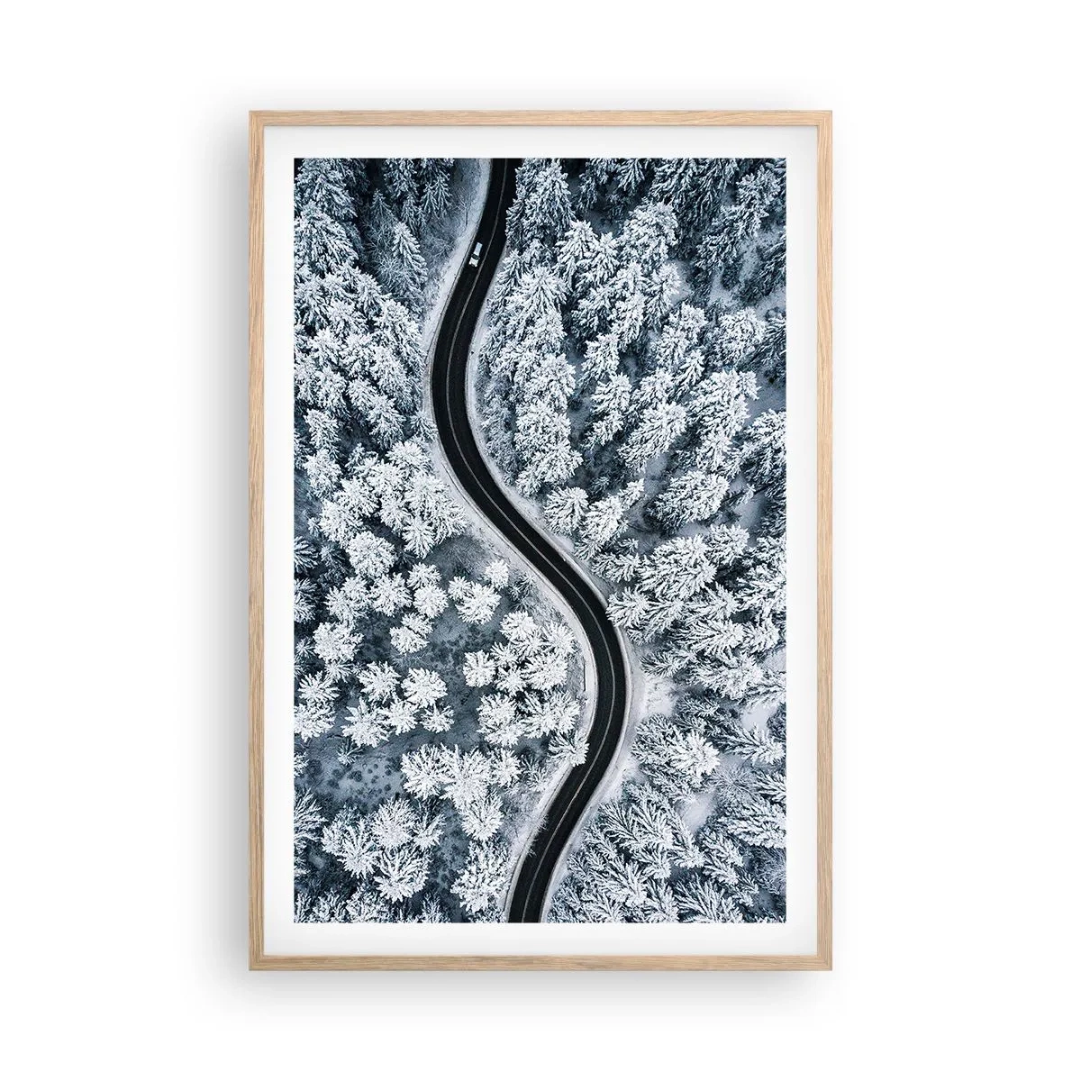 Plakat w ramie jasny dąb - Przez zimowy las - 61x91 cm