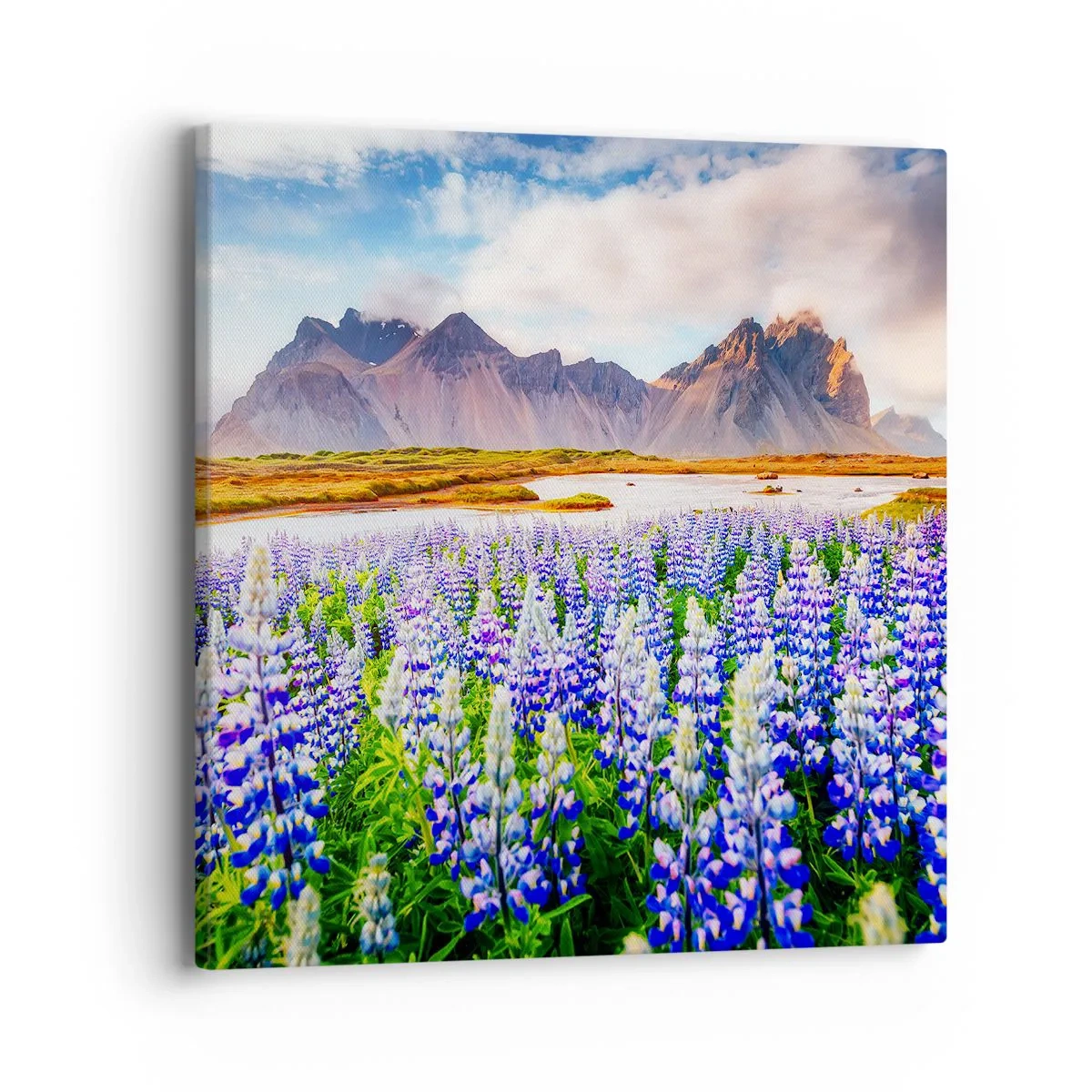 Obraz na płótnie - Siła i surowość obok łagodności - 40x40 cm