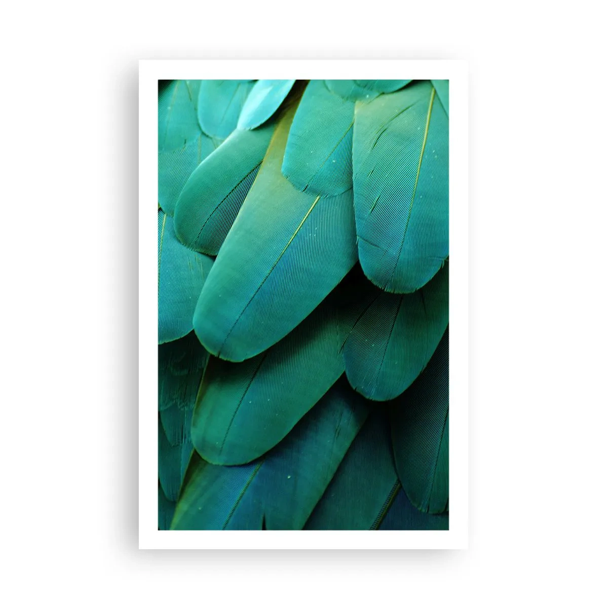 Plakat - Precyzja papuziej natury - 61x91 cm