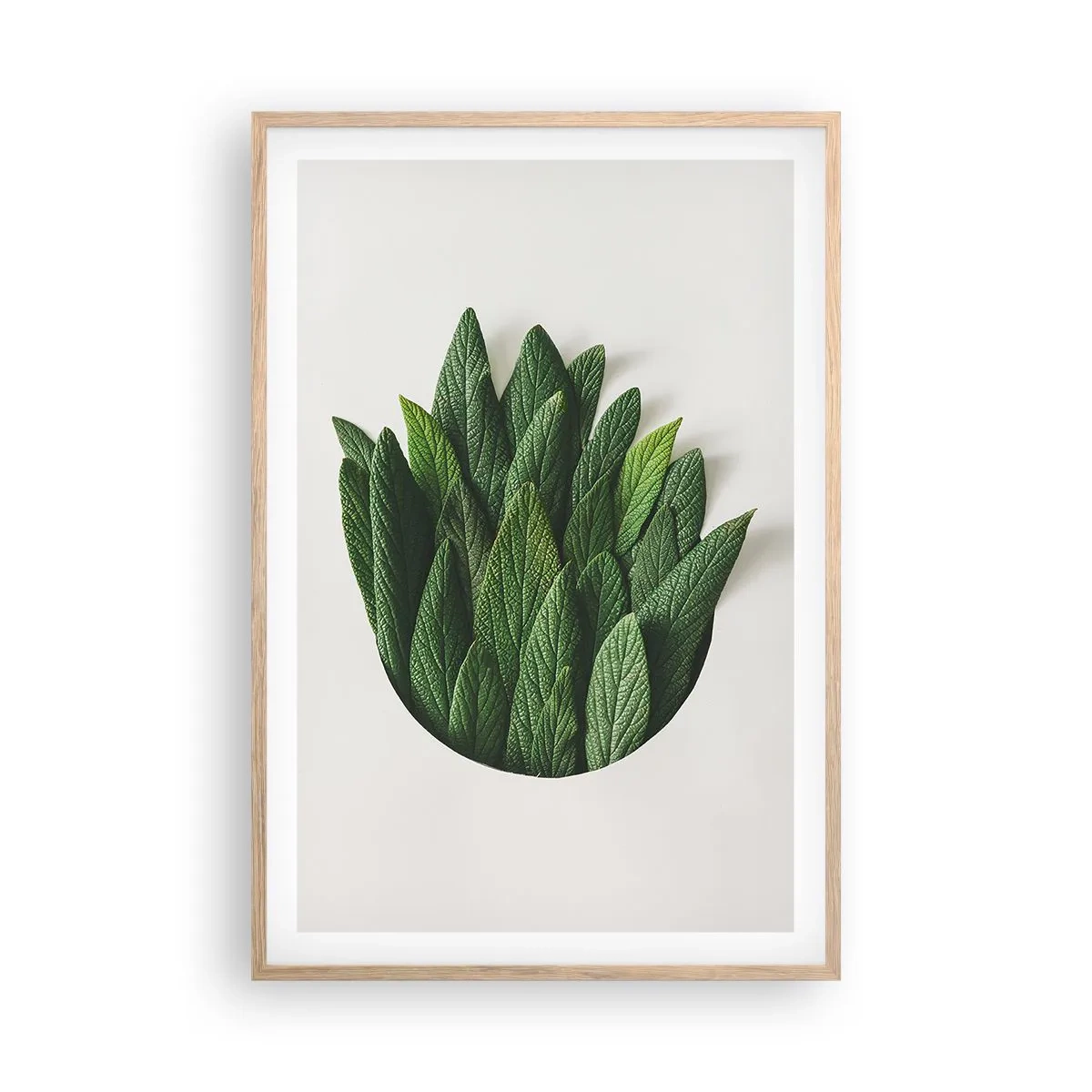 Plakat w ramie jasny dąb - Nieposkromiona ciekawość - 61x91 cm