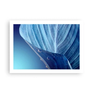 Plakat - Ukryte krople błękitu - 70x50 cm