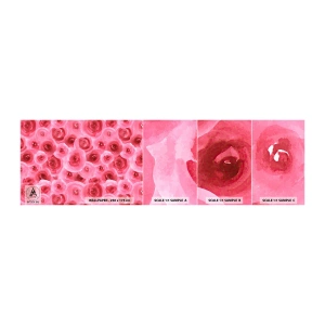 Fototapeta Próbka Samoprzylepna Deluxe Sticker - Róże na dole i na górze - Kwiaty, Piękno, Romantyzm - 100x30 cm