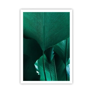 Plakat - Zwrócone do światła - 70x100 cm