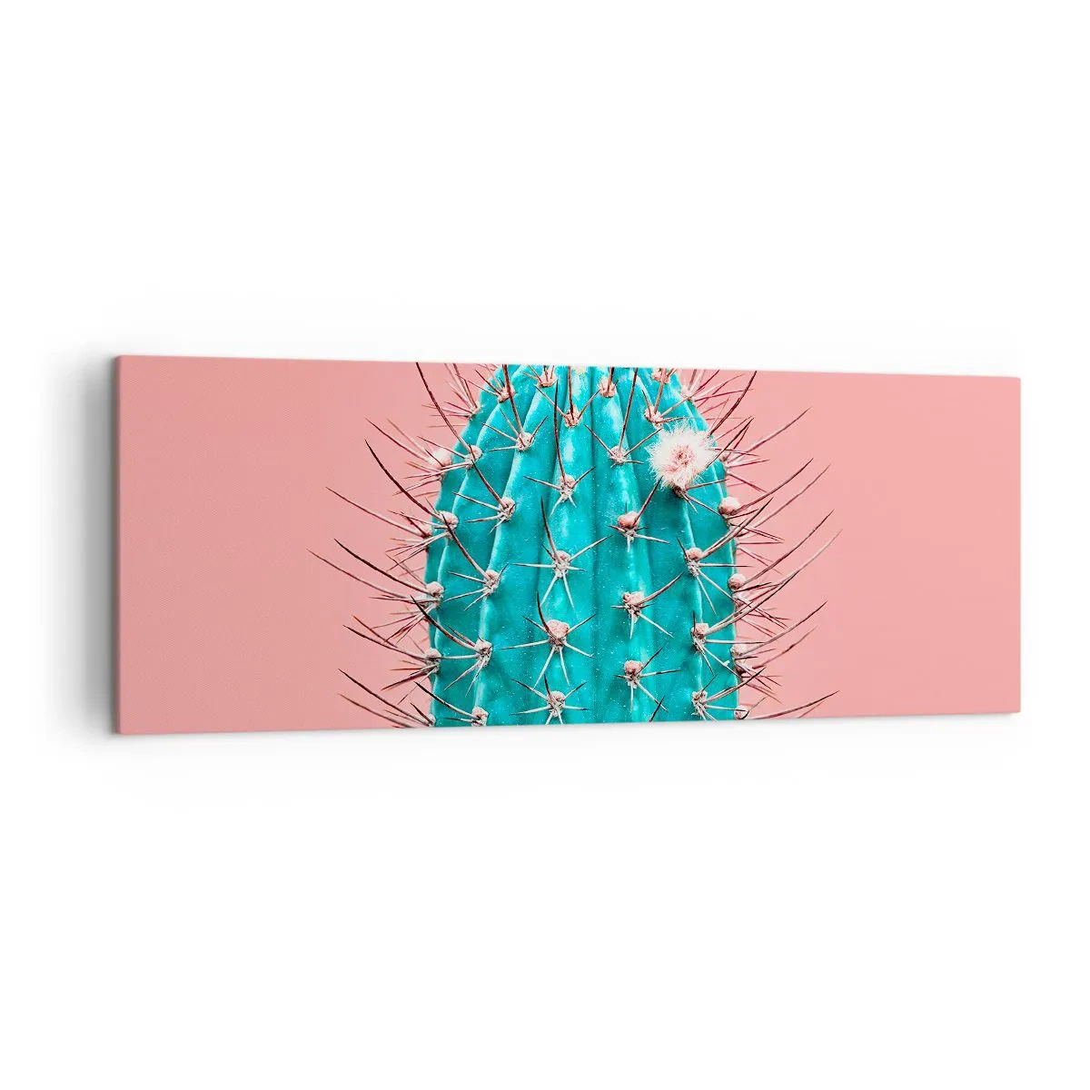 Obraz na płótnie - Kaktus na różowym tle w artystycznym ujęciu - 140x50cm - Tylko patrz - Nowoczesna dekoracja ścienna do salonu i sypialni ARTTOR