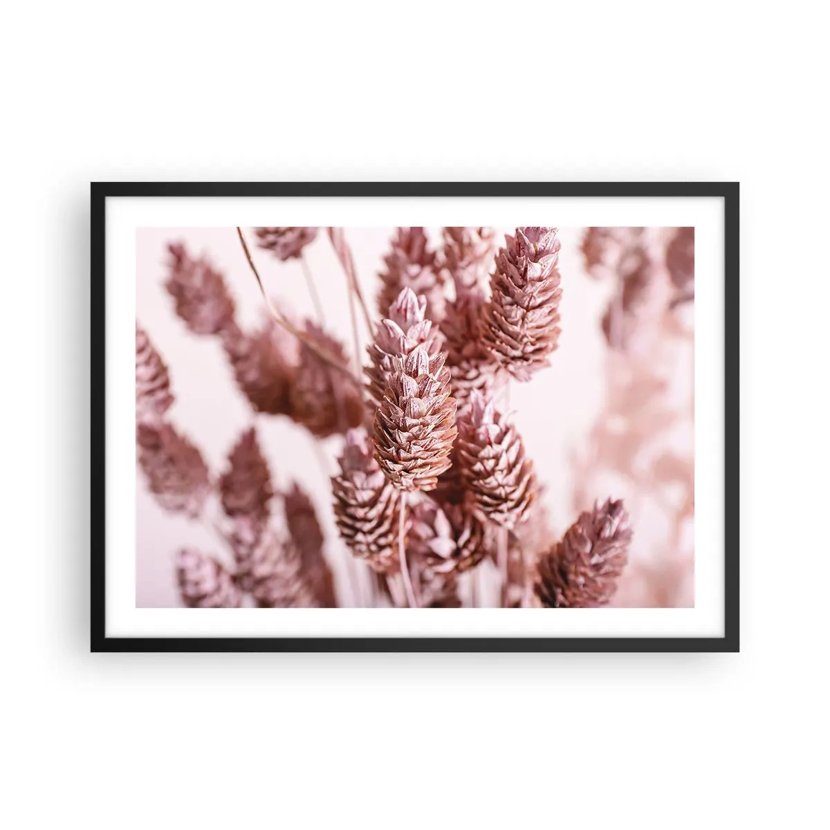 Plakat w czarnej ramie - Zbliżenie na delikatne różowe kłosy traw ozdobnych - 70x50cm - Z pozoru niepozorne - Nowoczesna dekoracja ścienna do salonu i sypialni ARTTOR