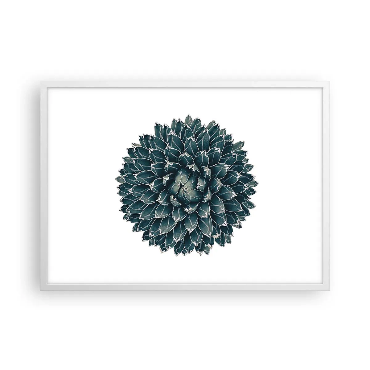 Plakat w białej ramie - Gwiazda pustyni - 70x50 cm