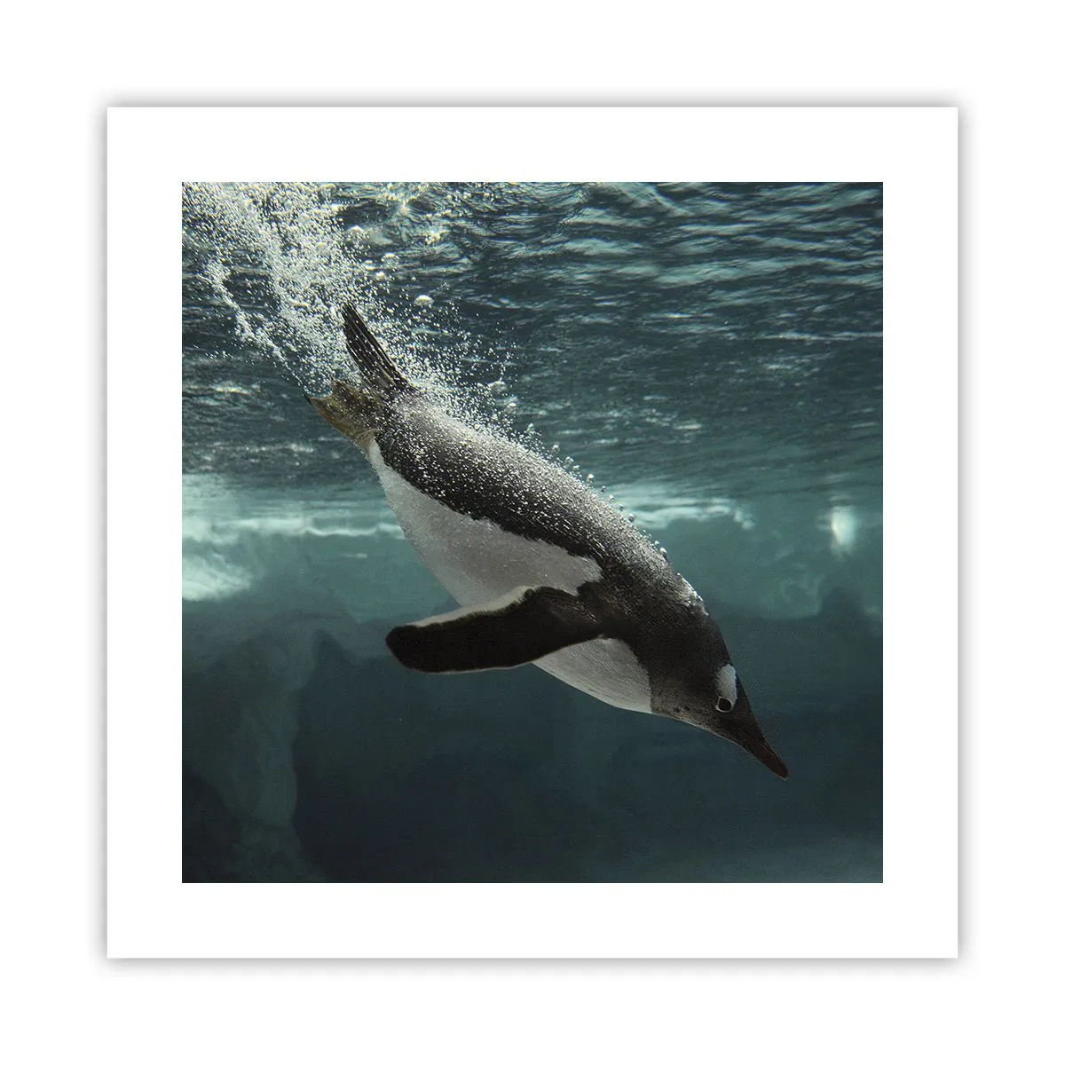 Plakat - Witaj w moim świecie - 40x40 cm