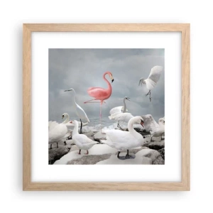 Plakat w ramie jasny dąb - Skąd się tu wziąłem? - 30x30 cm