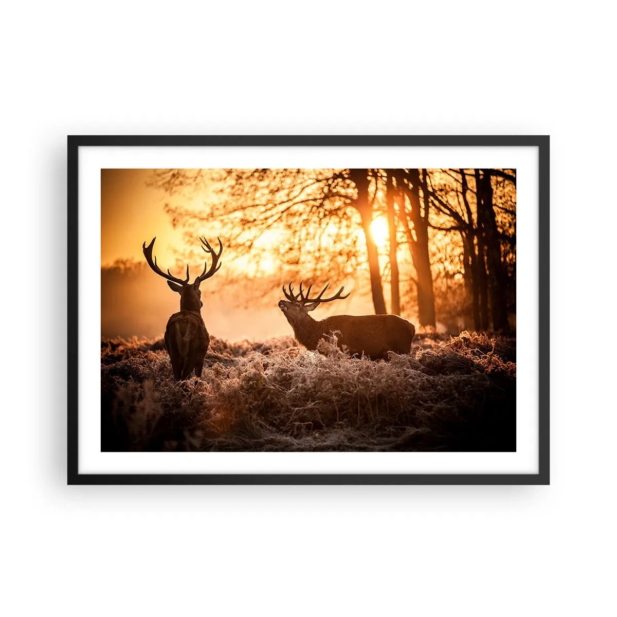 Plakat w czarnej ramie - Dwa jelenie o zachodzie słońca w zimowym krajobrazie - 70x50cm - Marzenie myśliwego - Nowoczesna dekoracja ścienna do salonu i sypialni ARTTOR