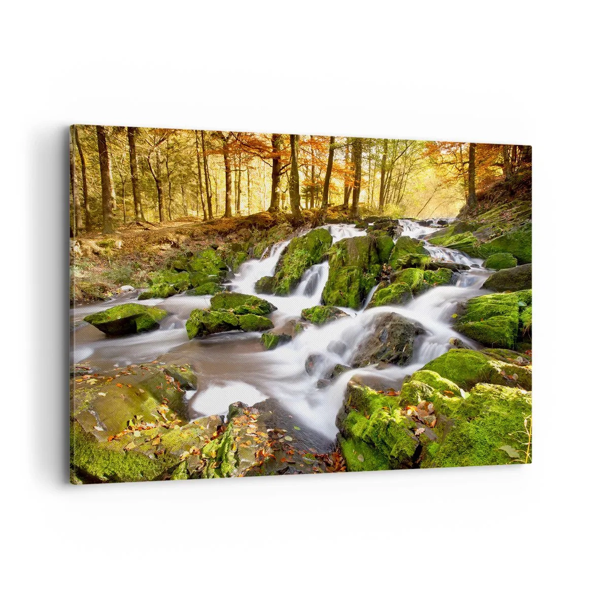 Obraz na płótnie - Zalesiony krajobraz z wodospadem otoczonym mchem - 120x80cm - Bystro przez jesienny las - Nowoczesna dekoracja ścienna do salonu, kuchni i sypialni ARTTOR