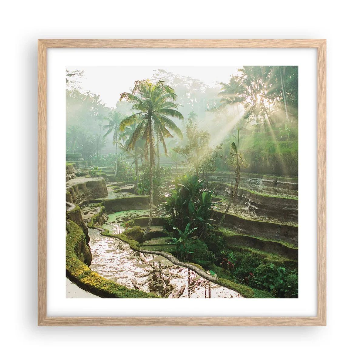 Plakat w ramie jasny dąb - Dorastać w słońcu - 50x50 cm