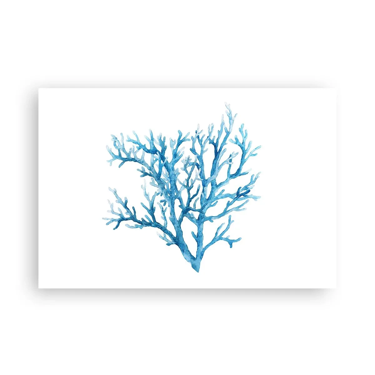 Plakat - Morski filigran - 91x61 cm