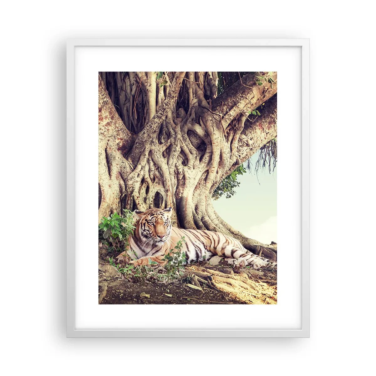 Plakat w białej ramie - Widok z Księgi Rodzaju - 40x50 cm