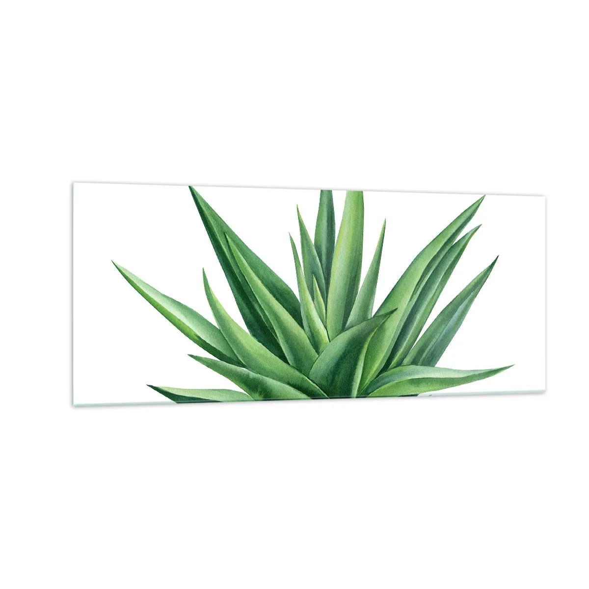 Obraz na szkle - Zieleń – siła – życie - 100x40 cm