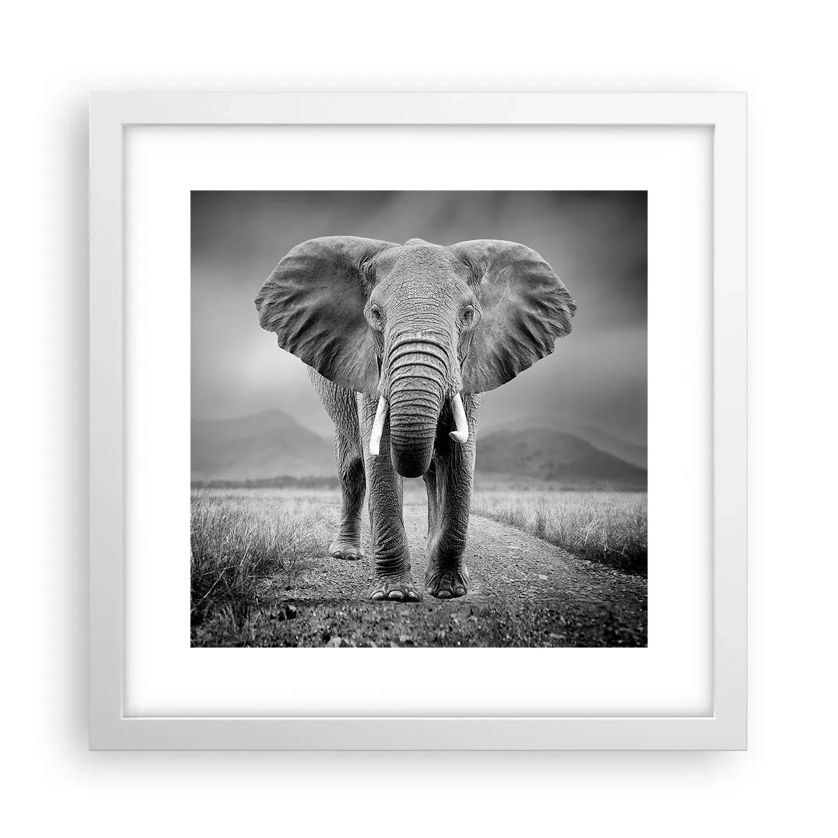 Plakat w białej ramie - Gospodarz wita - 30x30 cm