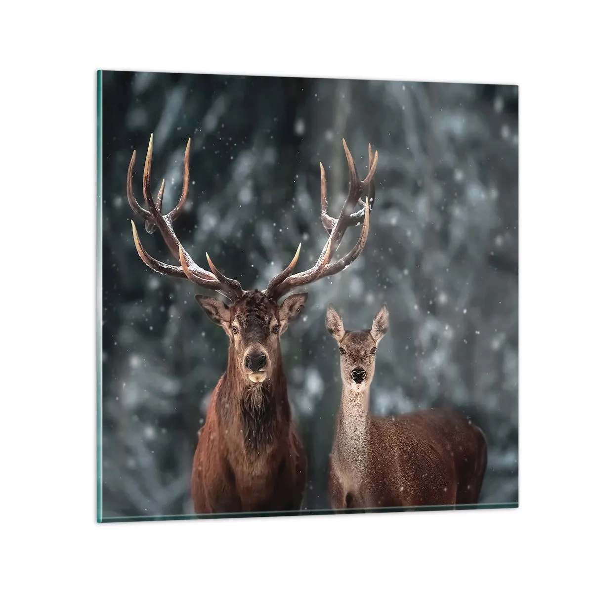 Obraz na szkle - Pan lasu z małżonką - 30x30 cm