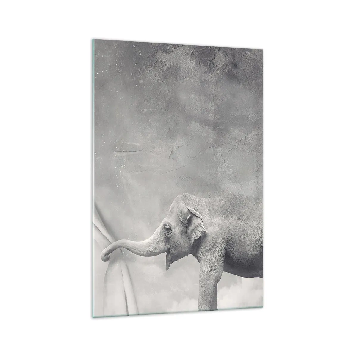 Obraz na szkle - Słoń odsłaniający zasłonę w surrealistycznym czarno-białym ujęciu - 70x100cm - Odsłonić tajemnicę - Nowoczesna dekoracja ścienna do salonu i sypialni ARTTOR