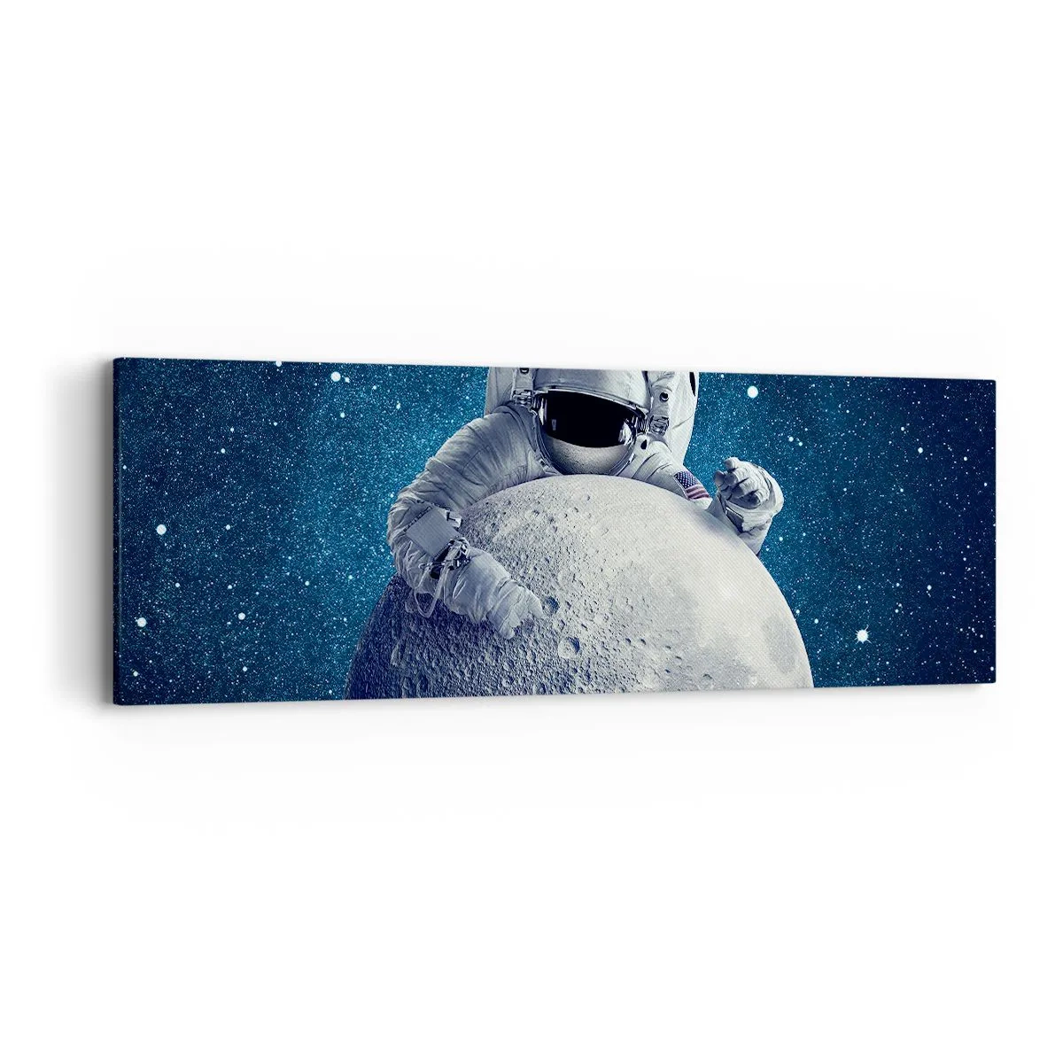 Obraz na płótnie - Kosmiczny żartowniś - 90x30 cm