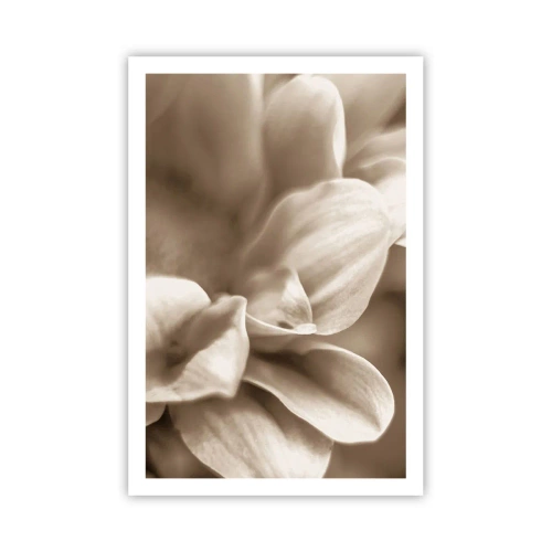 Plakat - Łagodne jak uśmiech - 61x91 cm